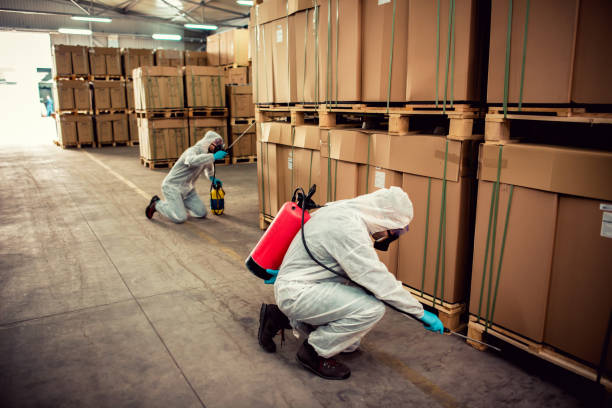 Best Wasp Removal Services  in Princeton, NJ