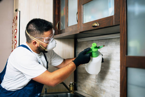 Best Termite Control Services  in Princeton, NJ