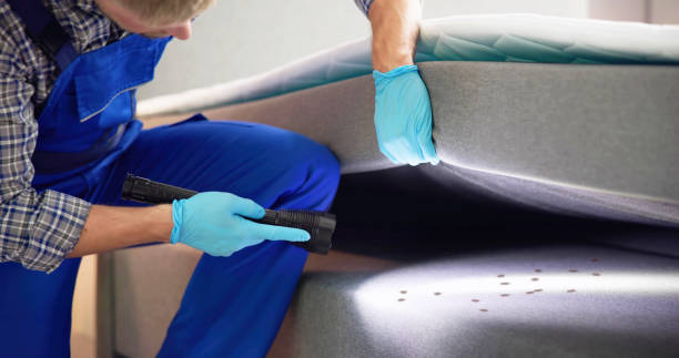 Best Best Pest Control Near Me  in Princeton, NJ