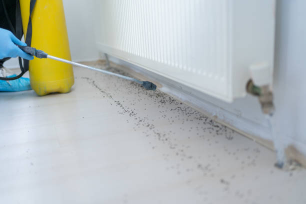 Best Commercial Pest Control Services  in Princeton, NJ