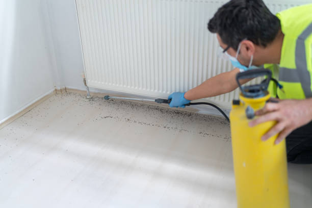 Best Ant Control Services  in Princeton, NJ