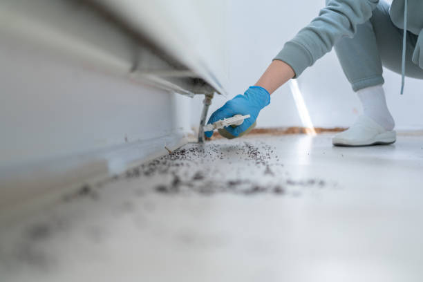 Best Rat Extermination Near Me  in Princeton, NJ